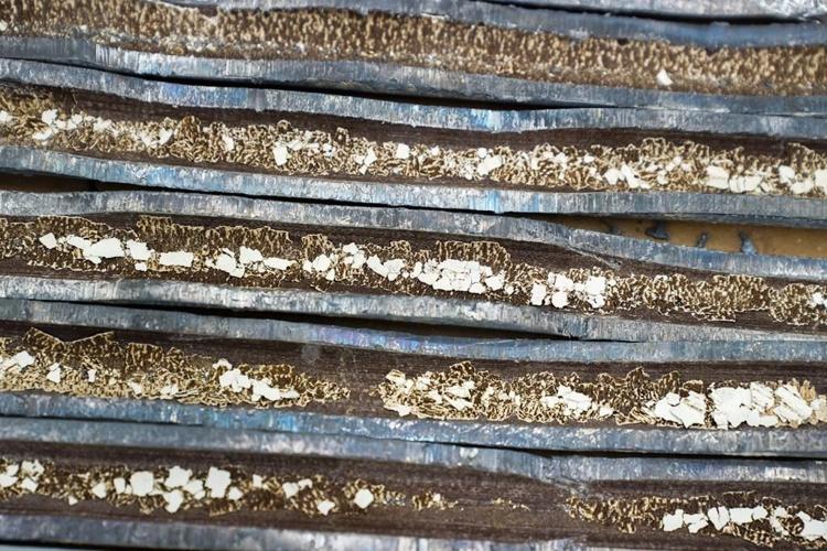 Biden sets a 10-year deadline for US cities to replace lead pipes and make drinking water safer