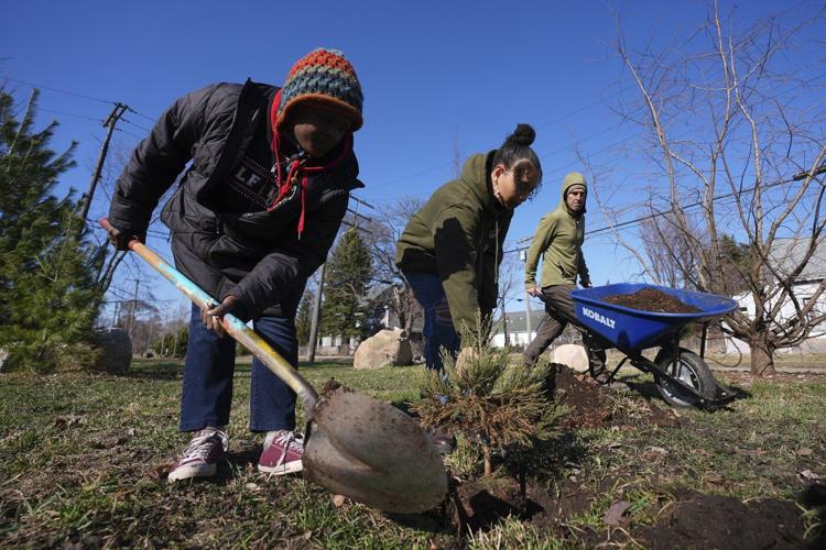 A sequoia forest in Detroit? Plantings to improve air quality and mark Earth Day