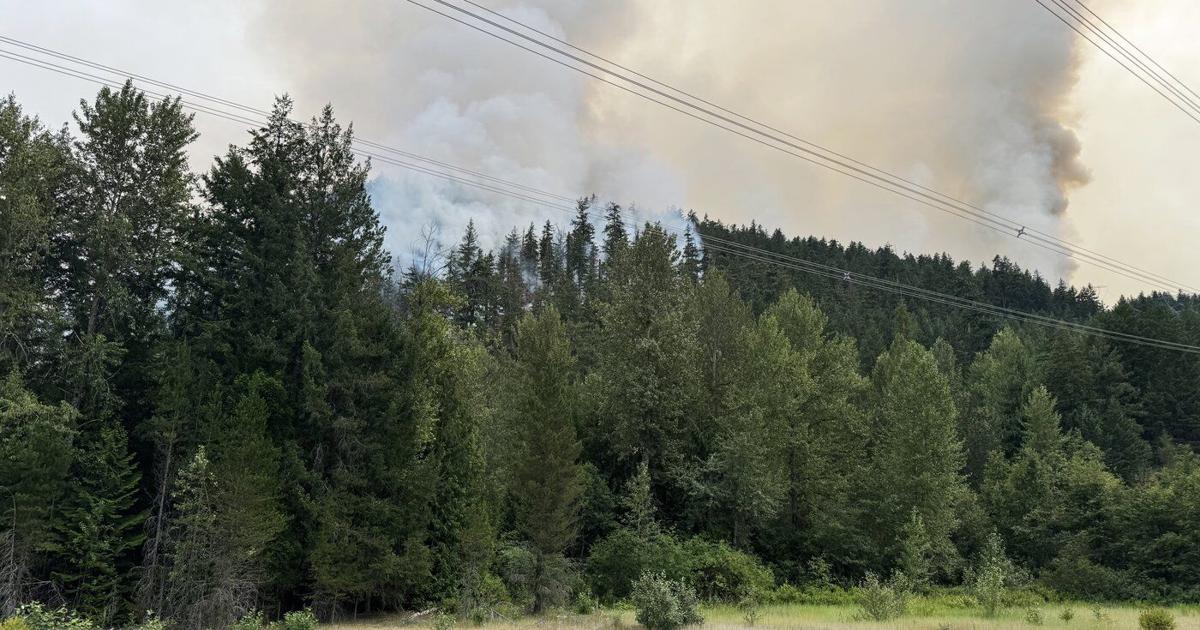 Nervous times in Pemberton, B.C., as residents watch fire fight from their backyards