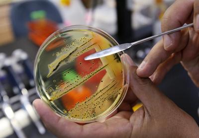 Hamilton restaurant tied to salmonella outbreak allowed to reopen after re-inspection