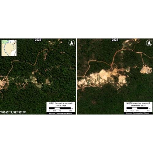 A gold-fueled mining rush scars Brazil’s Amazon, spiking deforestation and mercury risks