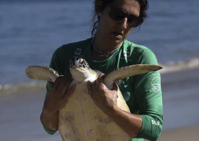 Nearly half of the world’s migratory species are in decline, UN report says