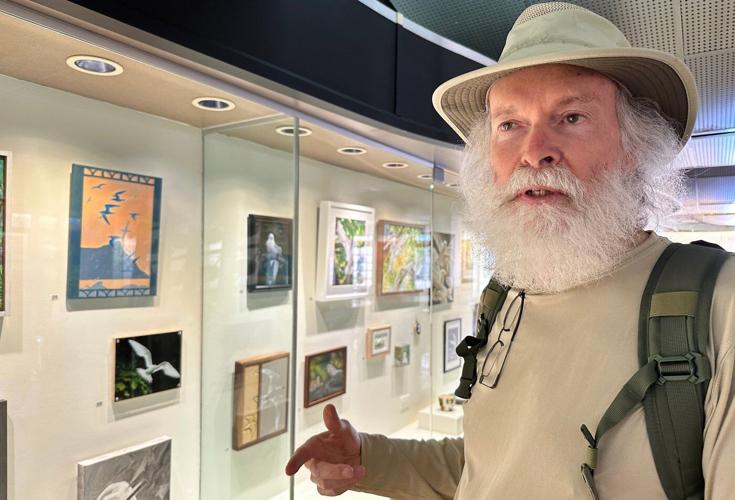 How a seabird native to Hawaii has adapted to life in Honolulu's concrete jungle