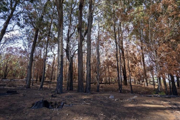 When Kula needed water to stop wildfire, it got a trickle. Many other US cities are also vulnerable