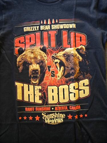 Legendary grizzly bear 'The Boss' removes tracking collar at Banff National Park