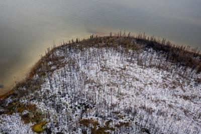 Fact File: Does banning glyphosate prevent wildfires? Here's what we know