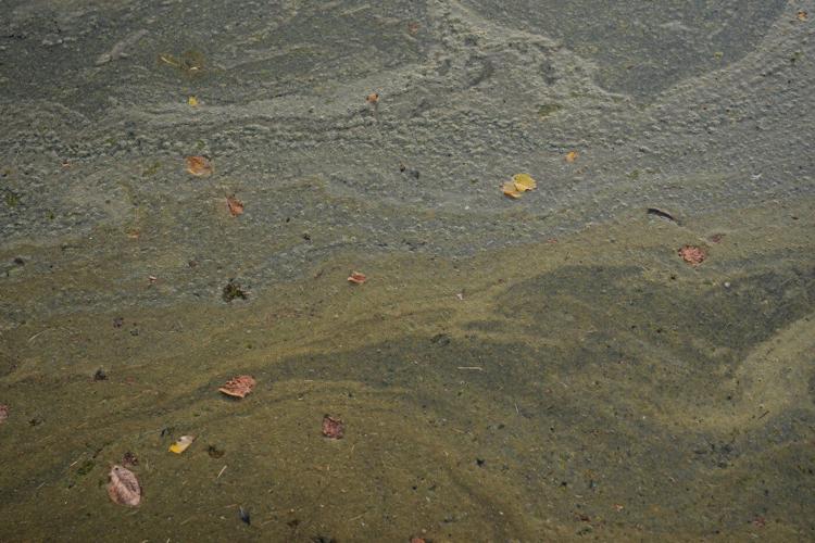 Reflecting Pool liner was cut with a sharp knife or razor, National Park Service says