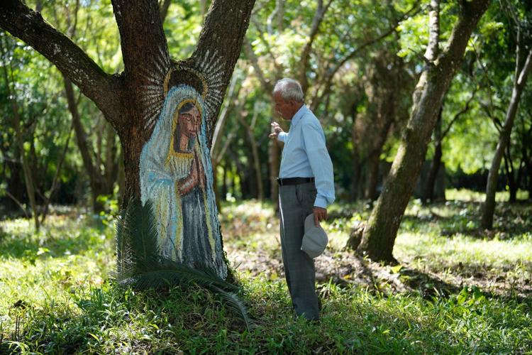 COP30 continues in Brazil and more top photos this week from the Caribbean and Latin America