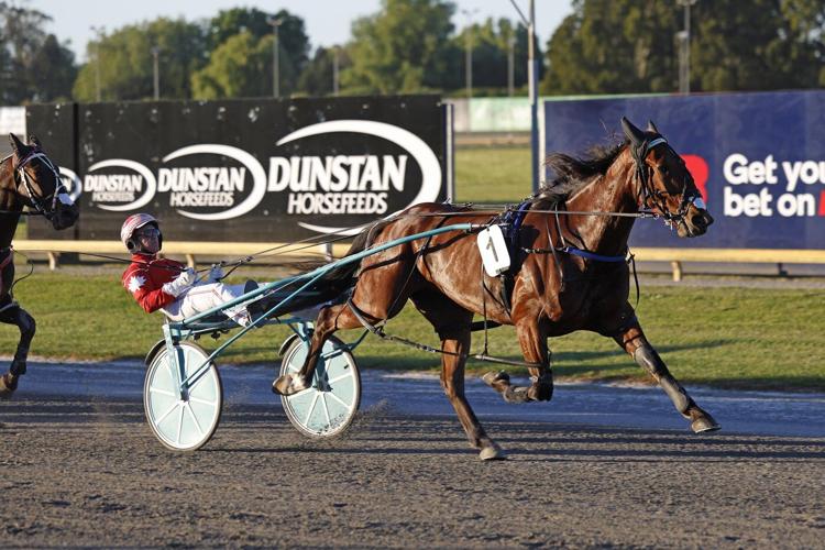 Odds On Mr Mamba draws No. 3 hole for Pepsi North America Cup harness race