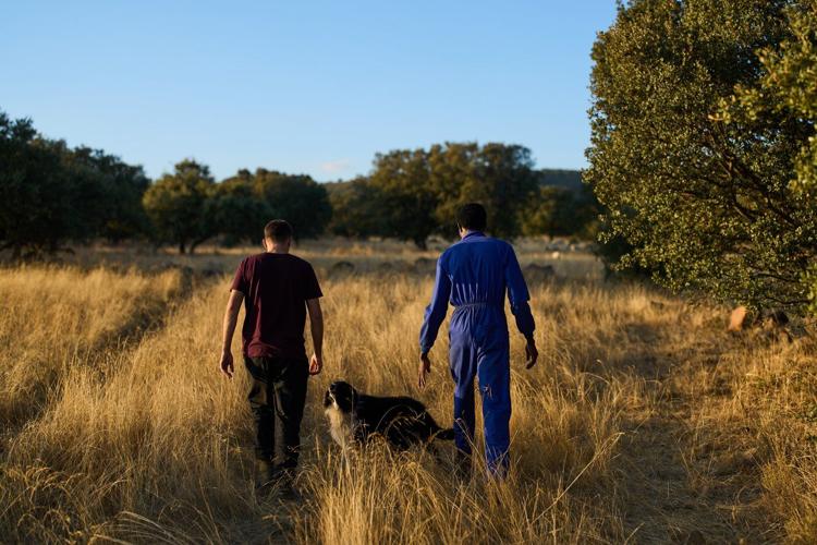 A neglected and ancient trade in Spain gets a boost from African migrants