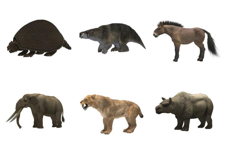 Giant sloths and mastodons coexisted with humans for millennia in Americas, new discoveries suggest