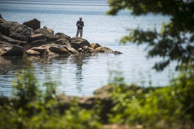 Une haute concentration de microplastiques est retrouvée dans les poissons de Toronto