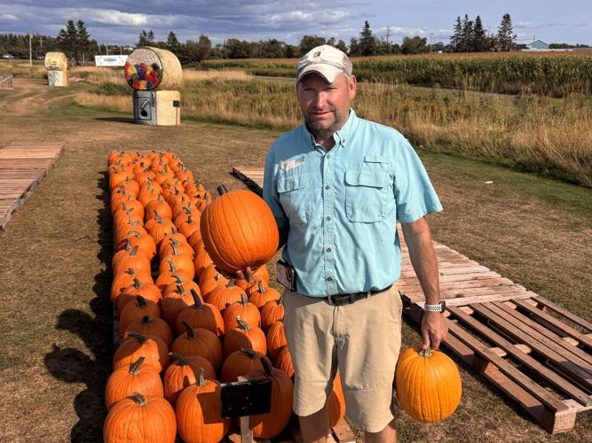 'There's something strange in the pumpkin fields.' Drought & heat frightening farmers