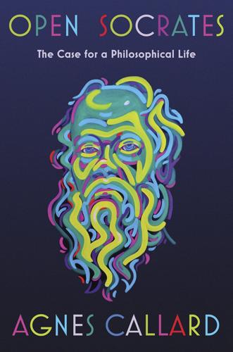 Book Review: 'Open Socrates' shows why philosophy isn't a spectator sport
