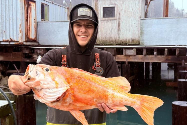 A California fisherman may have broken records by catching a 10.25-pound canary rockfish