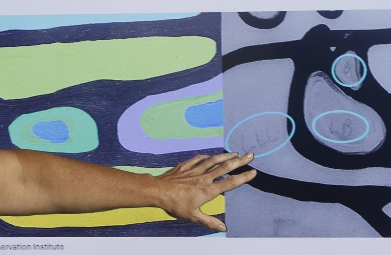 How a little known government agency helped crack Canada's biggest art fraud