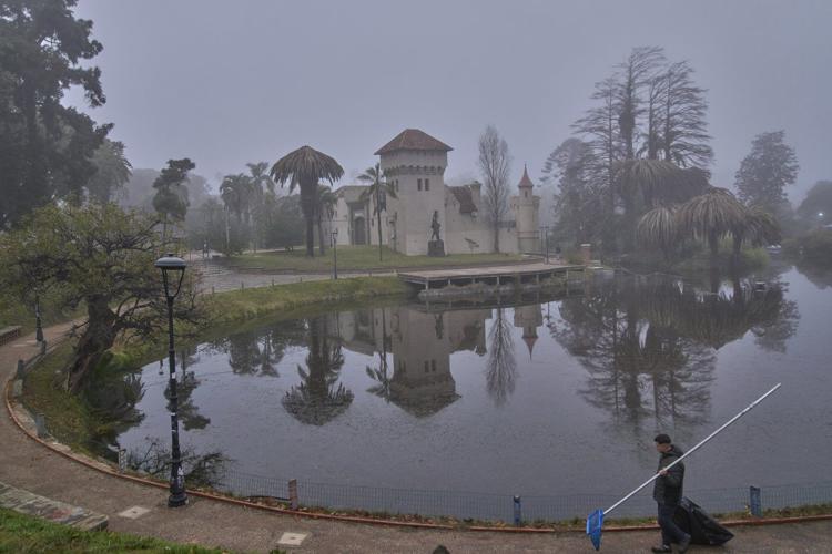 Uruguay confronts a powerful new threat to its palm trees: A tiny red bug