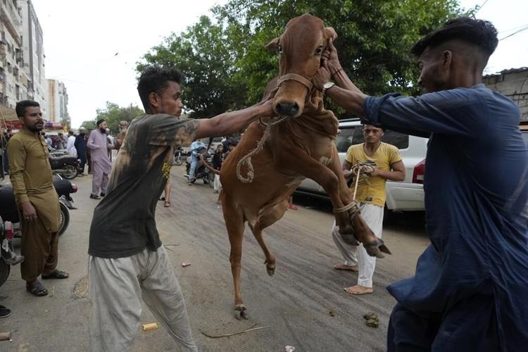 Muslims in Asia celebrate Eid al-Adha with sacrifice festival and traditional feast