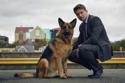 'My soul is happy again': 'Hudson & Rex' fans claim victory as John Reardon returns