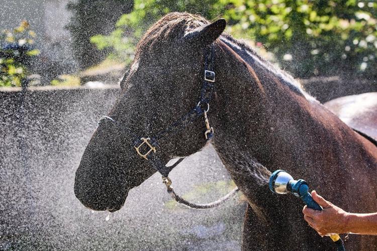 An early heat wave hits Europe, in photos