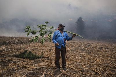 Forest fires burn in nearly half of Mexico’s drought-stricken states, fueled by strong winds.