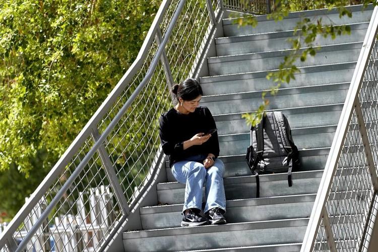 Scholarships have helped displaced Afghan students find homes on university campuses across the US