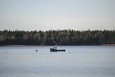 Immigration drives 2.7 per cent growth in New Brunswick population