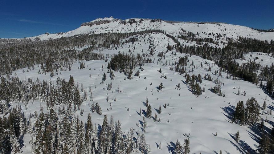 Investigation of deadly California avalanche to review whether criminal negligence played a role