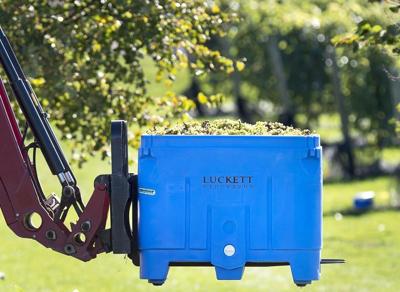 L'offre d'aide financière à l'industrie vinicole encore sur la table en N-É