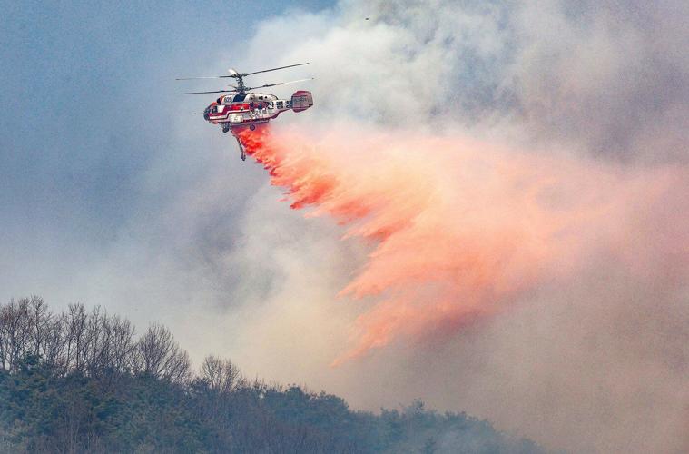 PHOTO COLLECTION: South Korea Wildfires