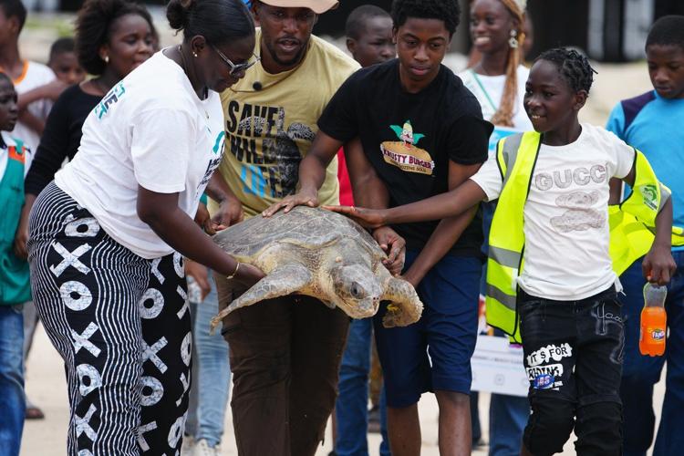 Conservation group rescues sea turtles caught in nets at Nigerian coastal city and rewards fishermen