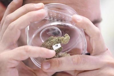 Tilray shares sink after it reports US$105M Q3 loss and cuts adjusted EBITDA guidance