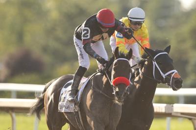 Runaway Again wins Prince of Wales Stakes to spoil Mansetti's Triple Crown bid