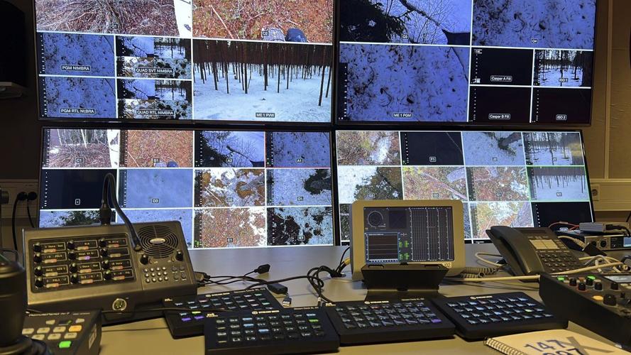 Livestream of moose migrating to their summer pastures fascinates millions across the globe