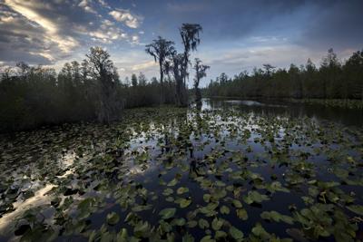 Agency approves expanding Okefenokee wildlife refuge, setting up possible buyout of mining project