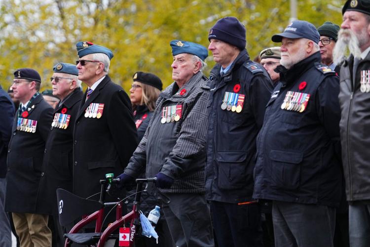 Veterans, families brave cold to mark Remembrance Day