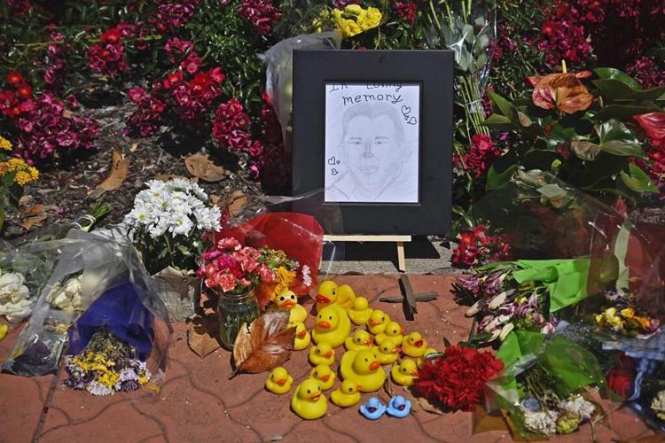 Man killed while helping ducklings safely cross busy California street