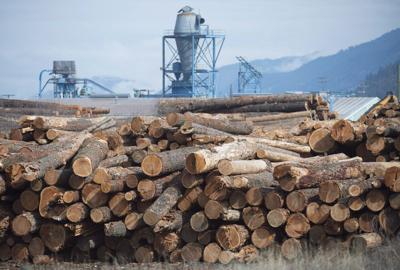U.S. plans to nearly triple anti-dumping duty on ��ɫtv softwood as tariffs loom