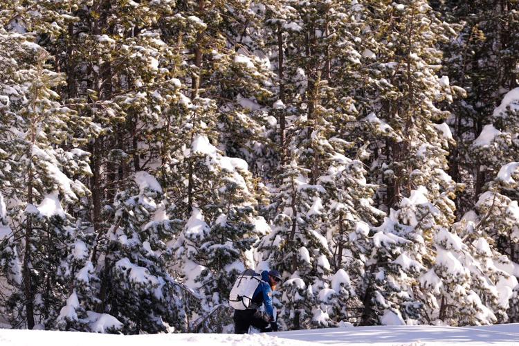 Investigation of deadly California avalanche to review whether criminal negligence played a role