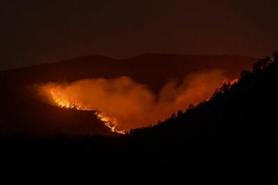 Review of prescribed fires finds gaps in key areas as US Forest Service looks to improve safety