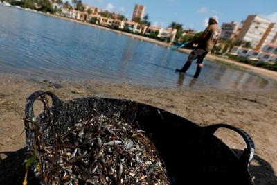 Activist who fought for legal rights for Europe's largest saltwater lagoon wins 'Green Nobel'