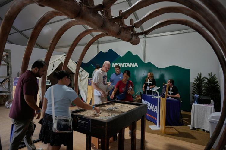 At the Great American State Fair, you can find a dinosaur's rib cage. Unity is another matter