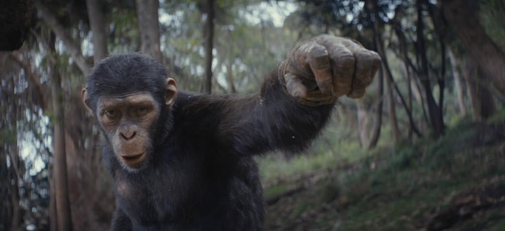 'Kingdom of the Planet of the Apes' reigns at box office with $56.5 million opening