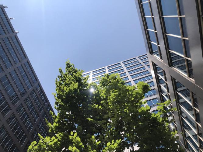 No impact to Toronto's green standard under new Ontario law, city staff says