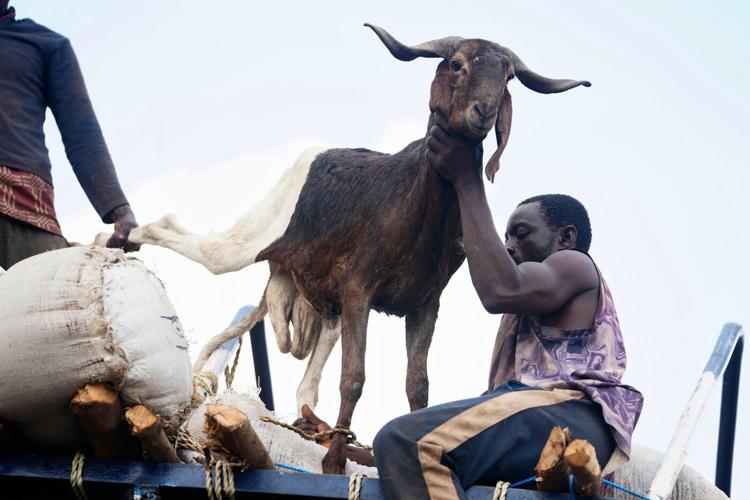 Muslims look forward to the annual Eid feast. Many Africans are now struggling to afford it