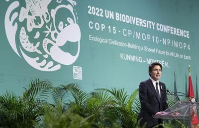 As nature talks unfold, here's what '30 by 30' conservation could mean in Canada