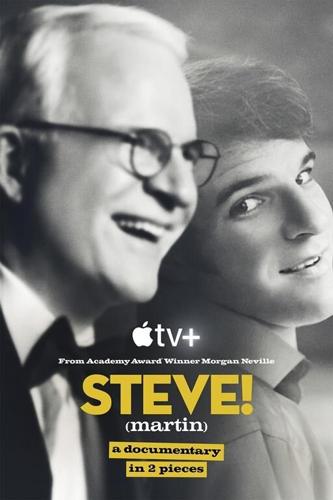 The irony of Steve Martin's life isn't lost on him
