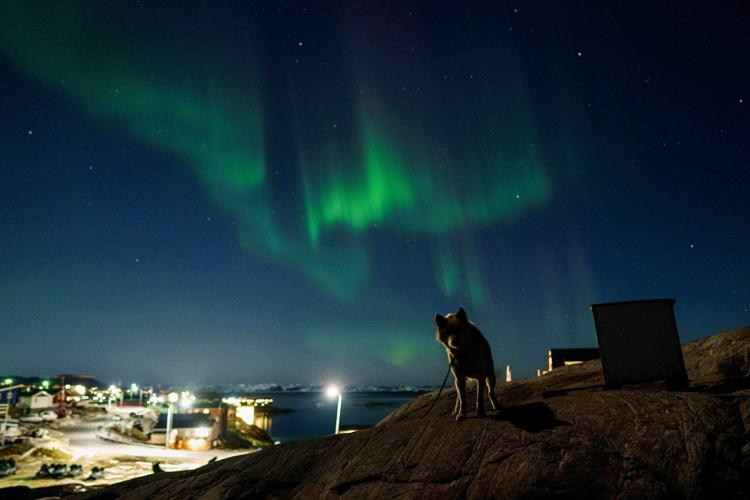 A Greenland sled dog champion fears for his culture as climate change melts the ice