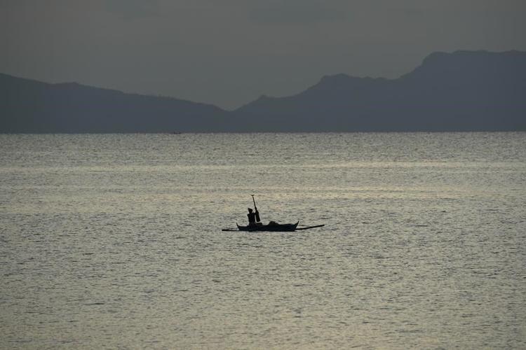 Following owners, thousands of cows, buffaloes evacuated away from restive Philippine volcano