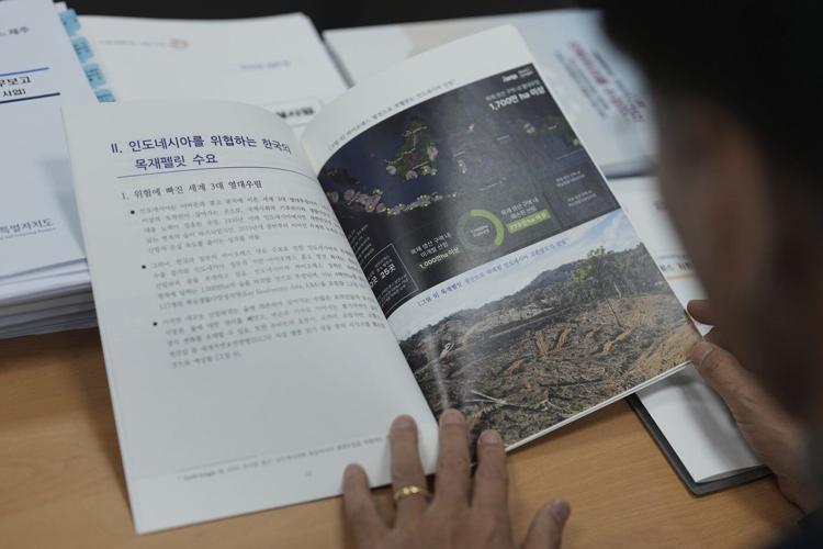 South Korean politician calls for investigation of biomass energy material imported from Indonesia